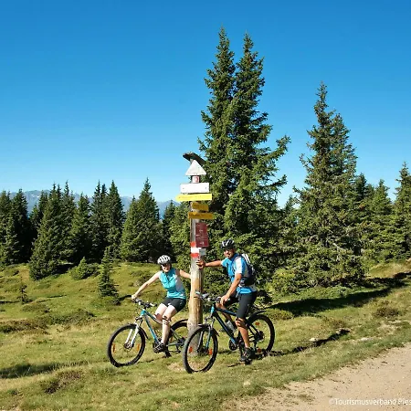 Apartman Fankhauser By Interhome